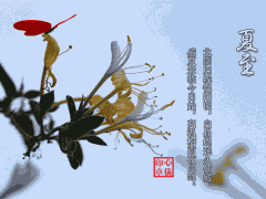 【灯港照明】今日夏至 | 酷暑始来
