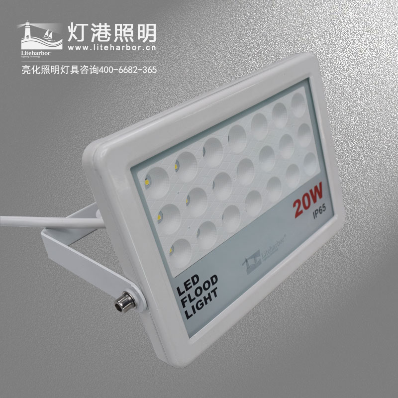 DG5267- LED投光灯