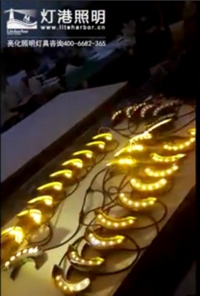 户外大功率防水园林绿化景观亮化led瓦楞灯厂家 灯港照明